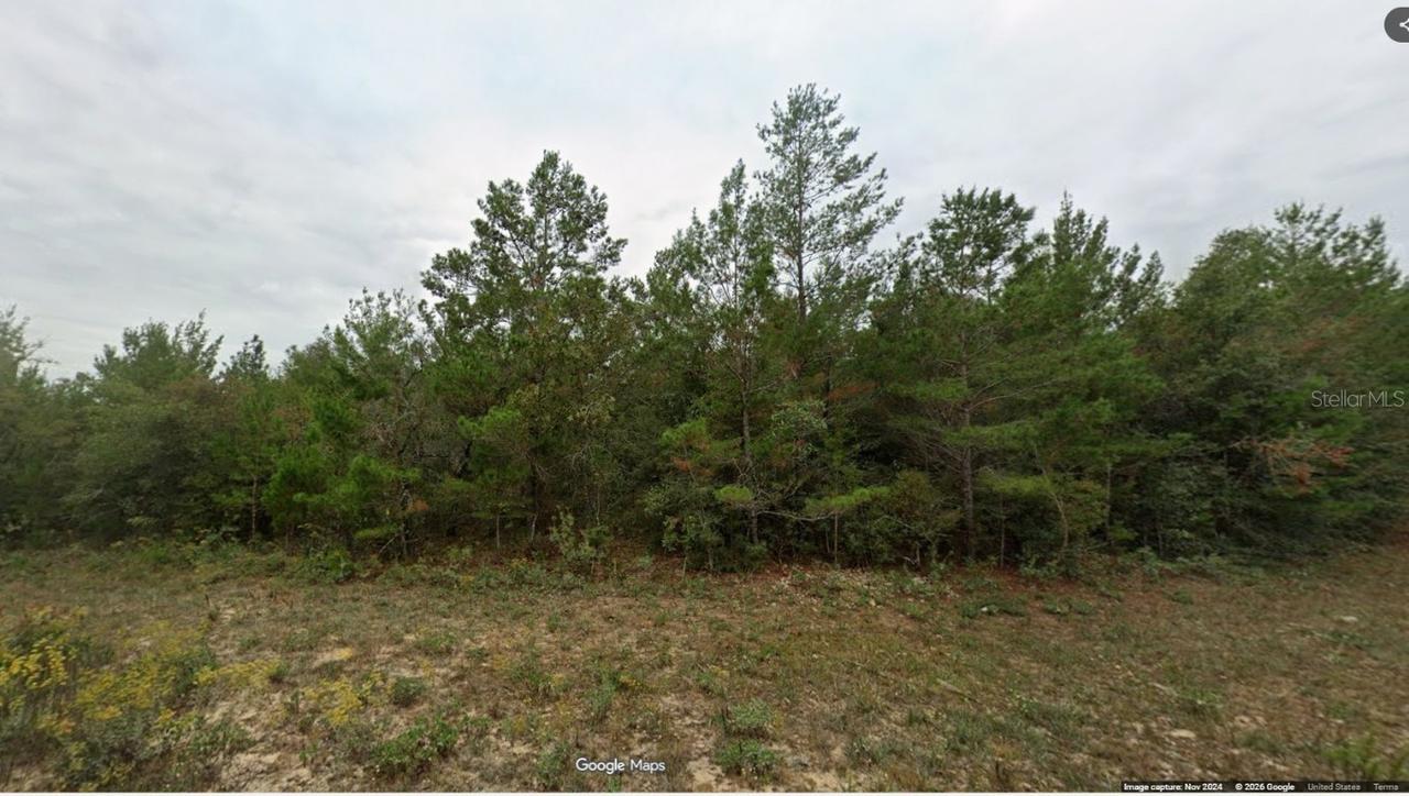 Lot 12, Unit 6, Blk 364, Kenmore Cir., Chipley, FL 32428
