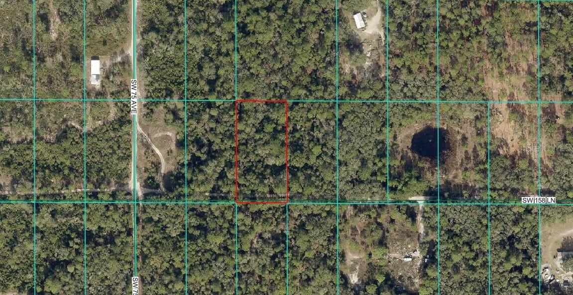 7397 SW 158th Ln., Dunnellon, FL 34432