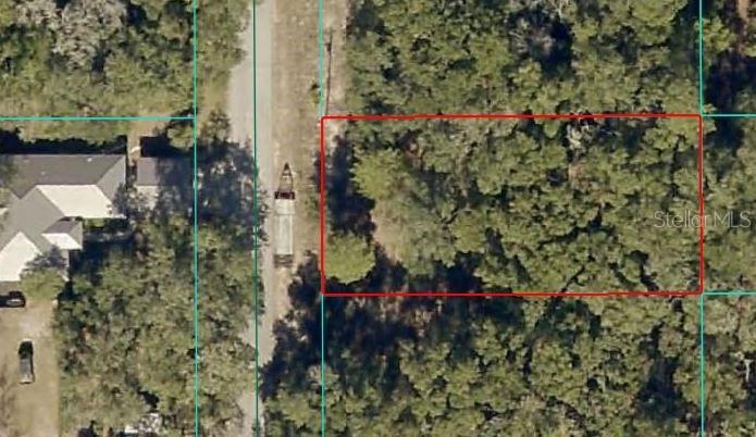 00 SW Driftwood Ct., Dunnellon, FL 34431