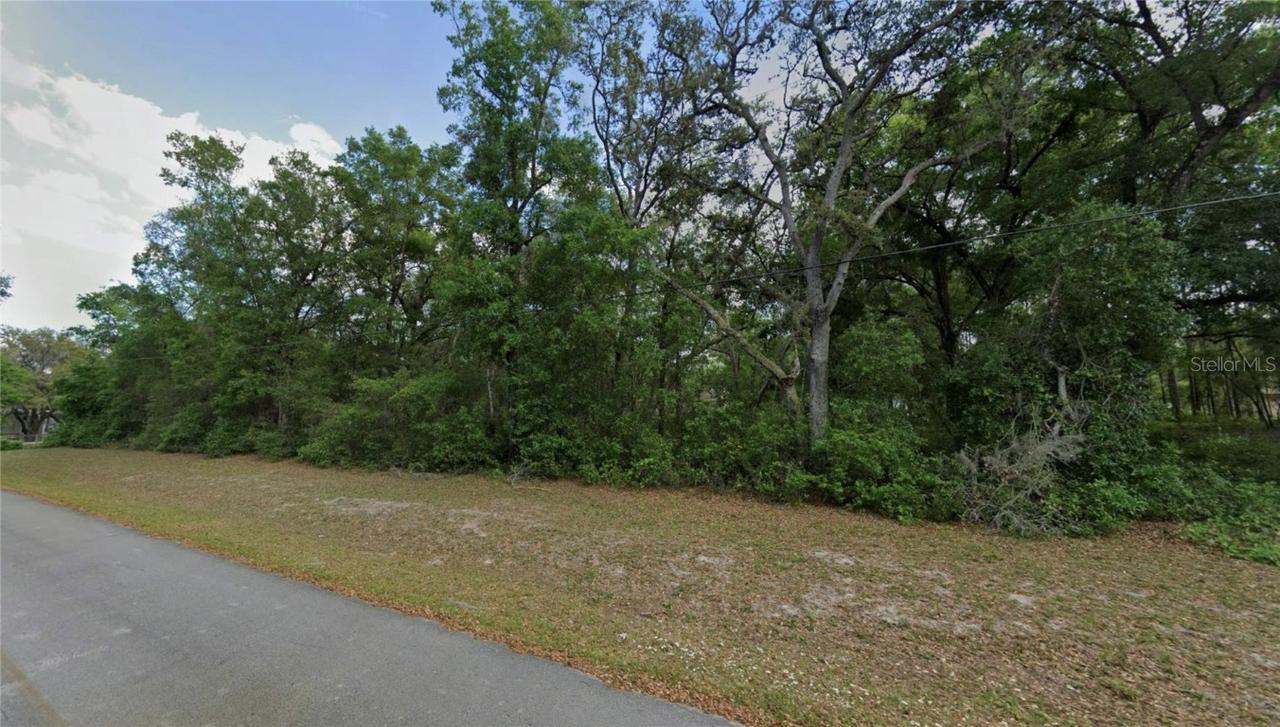 TBD SE 59th St., Ocklawaha, FL 32179