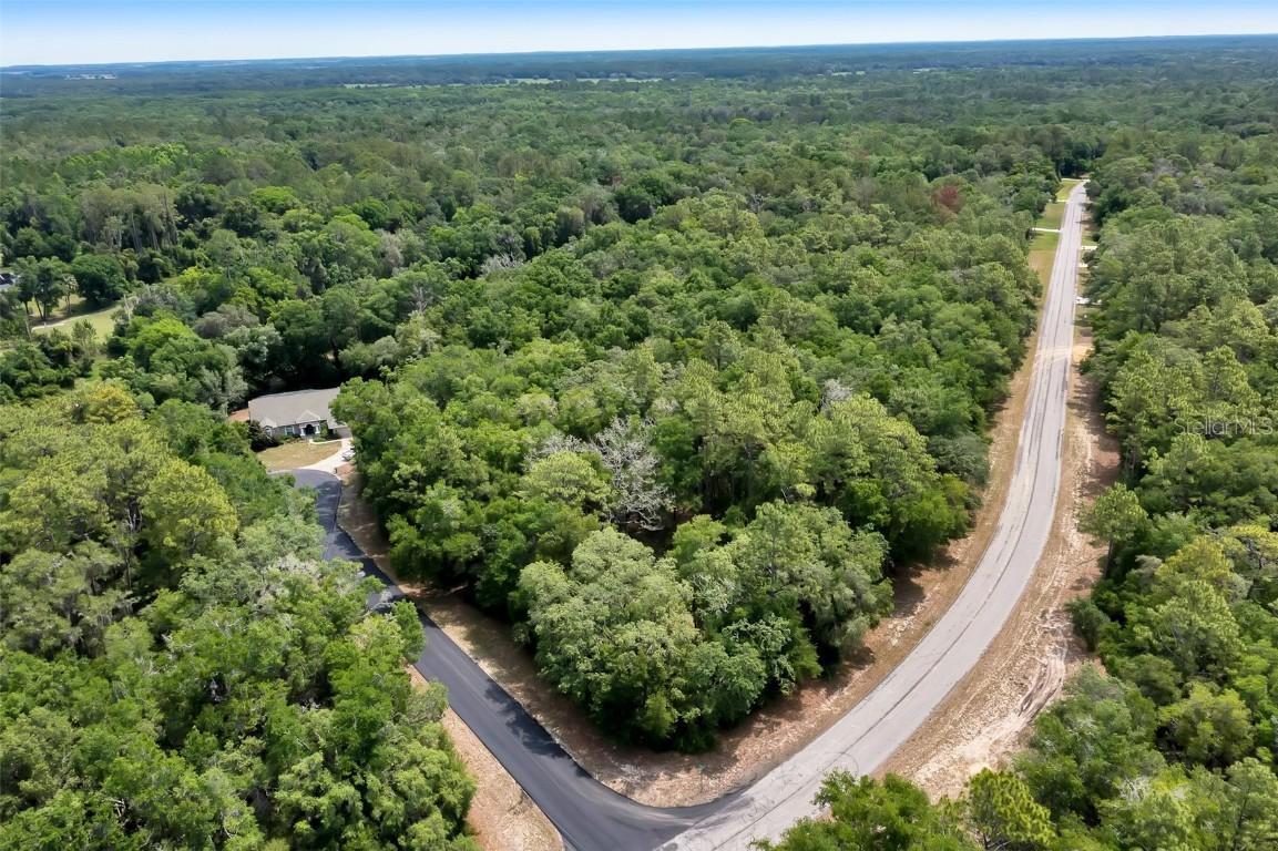 10233 N Athenia Dr., Citrus Springs, FL 34434