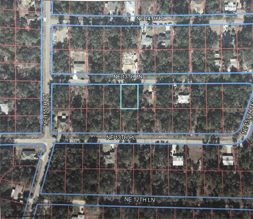 TBD NE 13th Ln., Williston, FL 32696