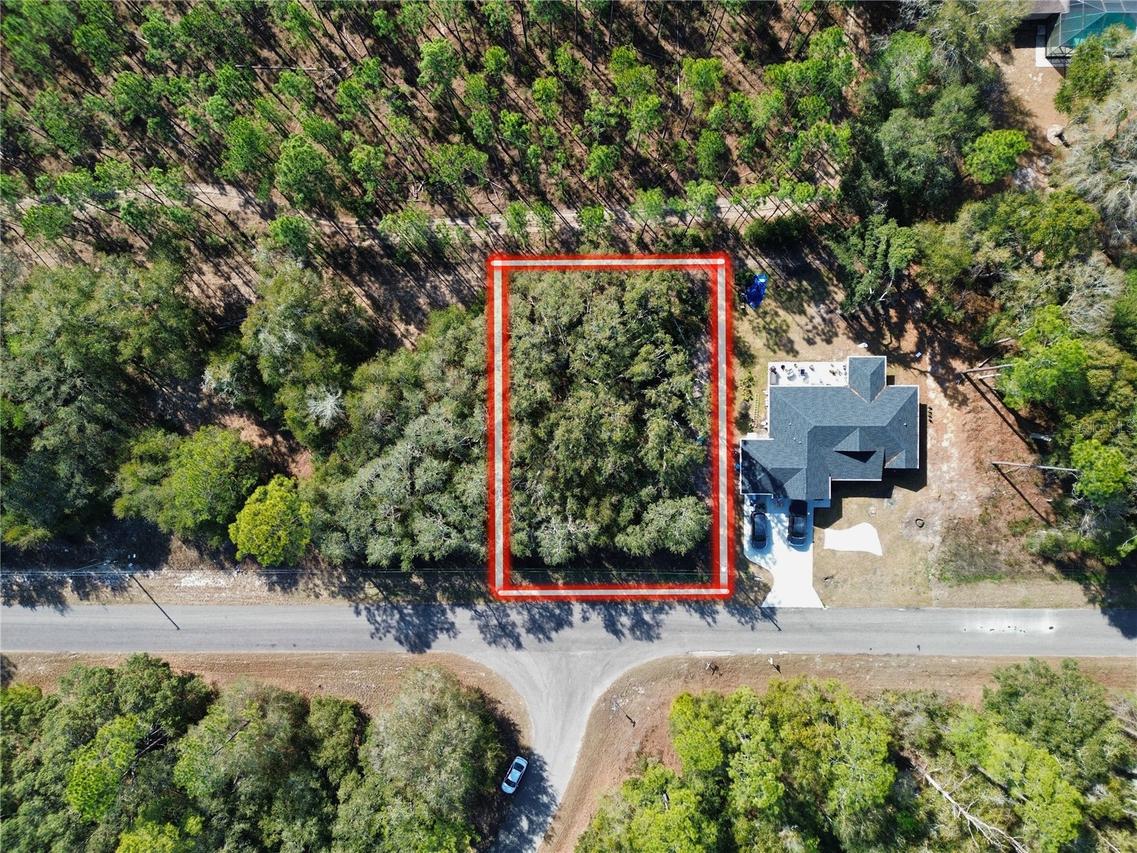 TBD Guava Pass Pass, Ocklawaha, FL 32179