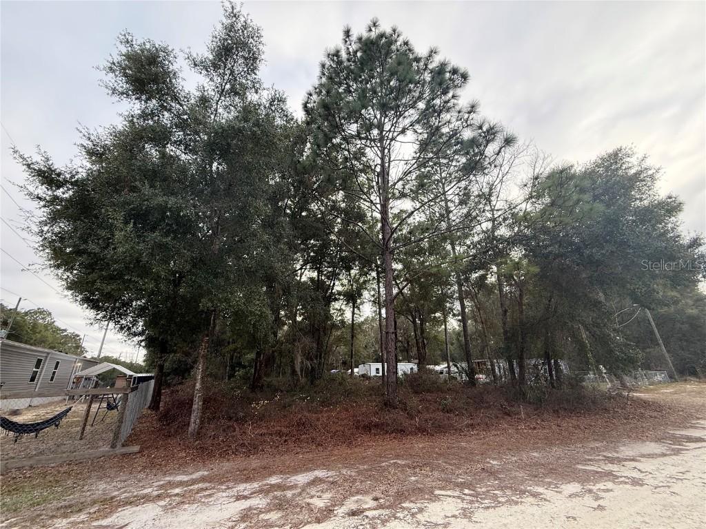 Se 147 Place, Summerfield, FL 34491