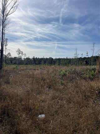 New Homes For Sale This Week in Citra: January 9th to January 15th