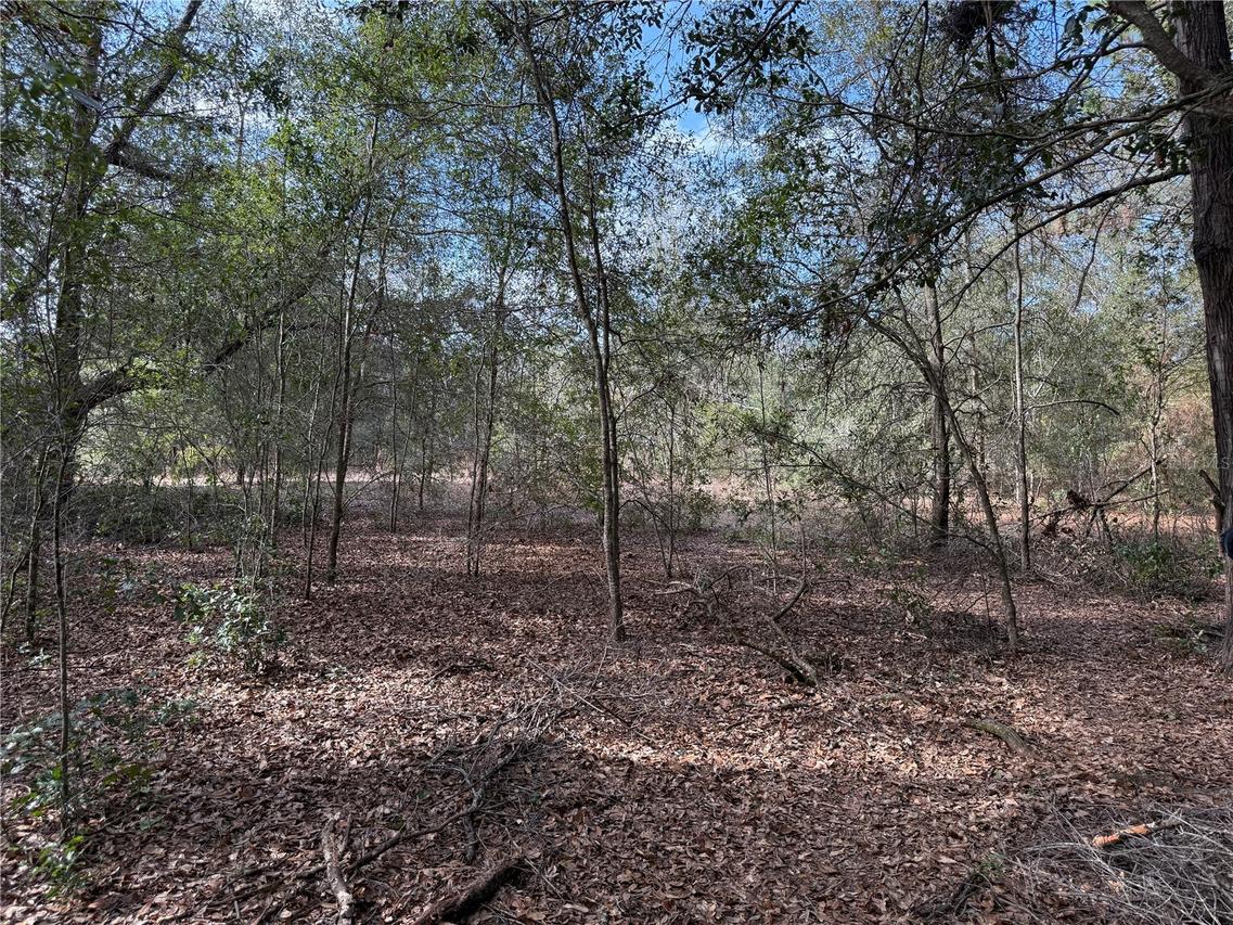 SE 92nd Ct., Belleview, FL 34420