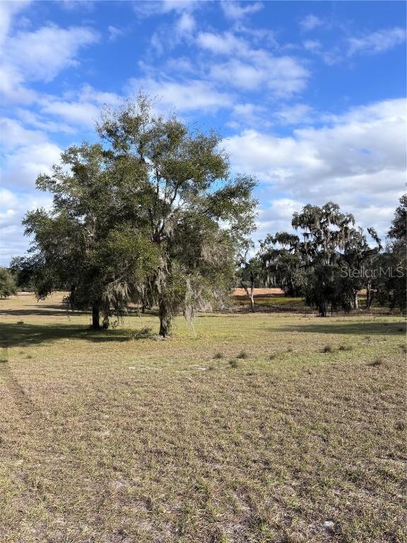 TBD NW 127 Ct., Ocala, FL 34482