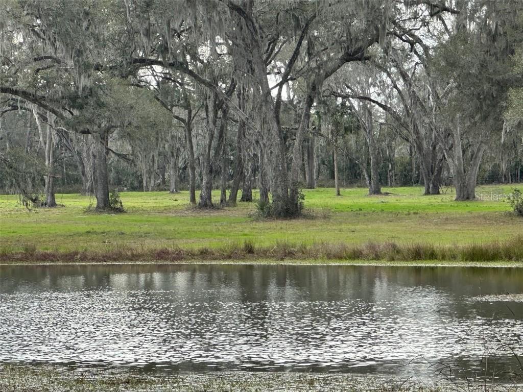 TBD Nw 160th Street, Reddick, FL 32686