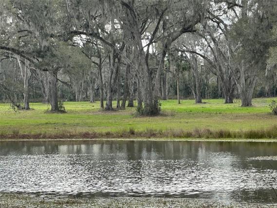 New Homes For Sale This Week in Reddick: January 9th to January 15th