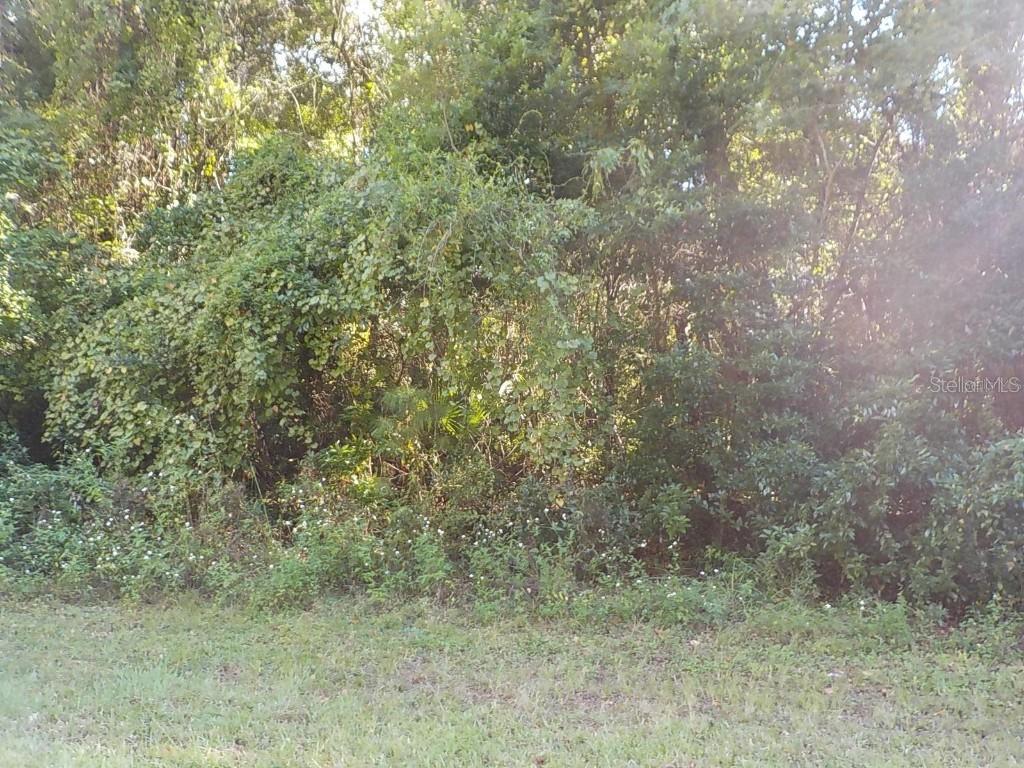 11641 N Kenlake Cir., Dunnellon, FL 34434