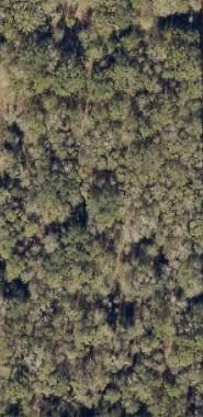 SW Blanton Ln., Lake City, FL 32024