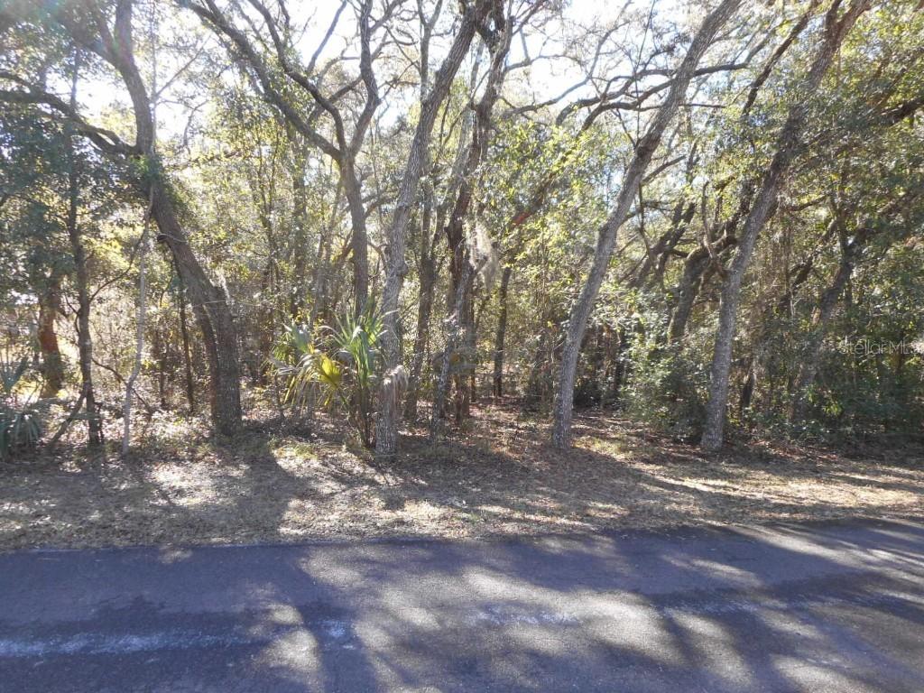 609 N Brighton Rd., Lecanto, FL 34461