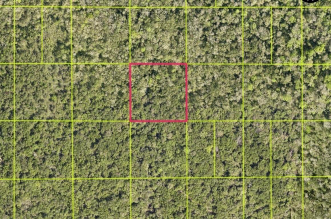 TBD Access Rd, Oak Hill, FL 32759