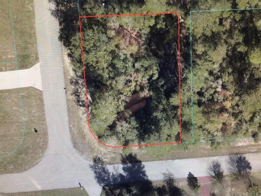 SW 151 Pl., Ocala, FL 34473