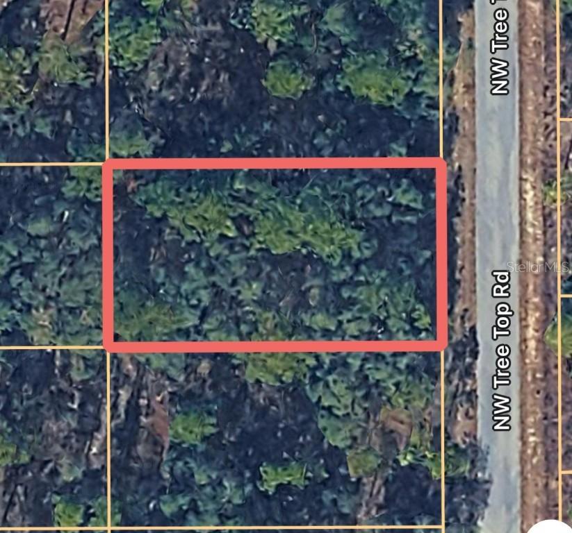 0000 NW Treetop Rd. #007, Dunnellon, FL 34431