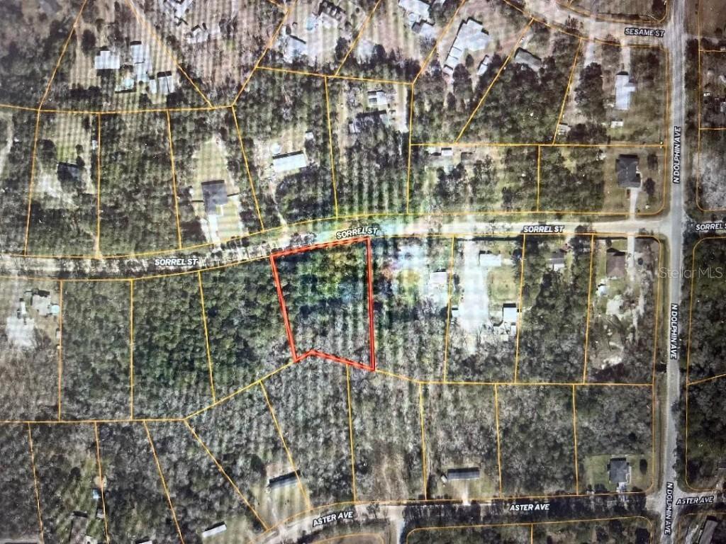 83 Sorrel St., Middleburg, FL 32068