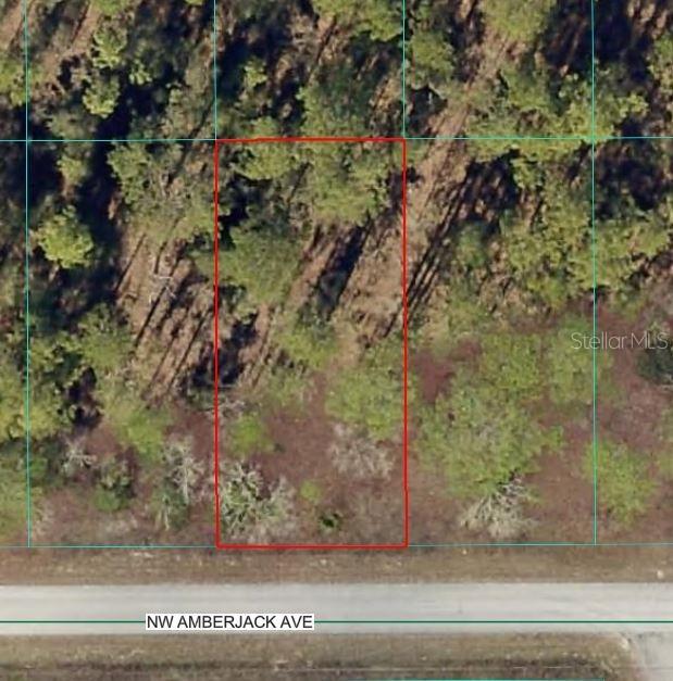 NW Amberjack Ave., Dunnellon, FL 34431