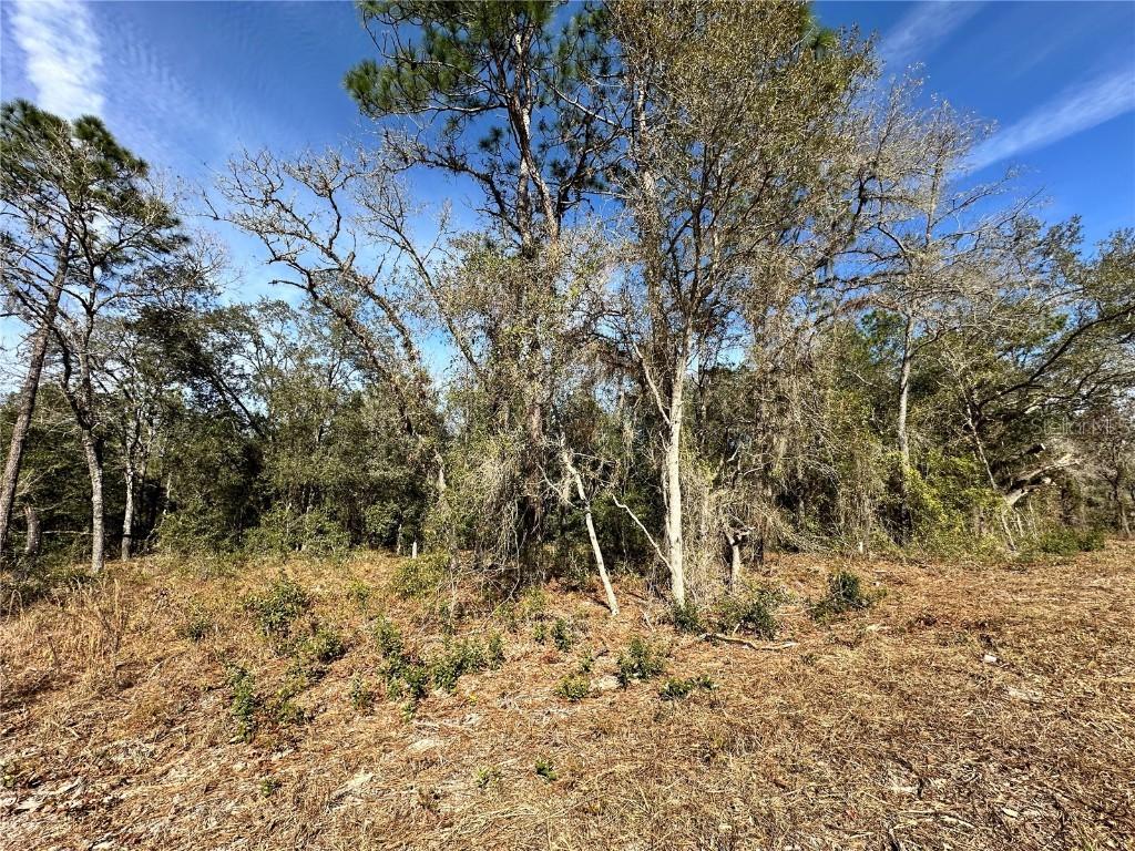 TBD SE 67th Pl., Morriston, FL 32668