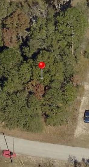 TBD N Pine Radial Rd. #16, Ocala, FL 34472
