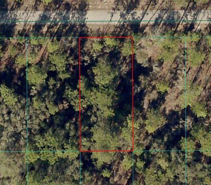 Lot 8 NW Nw Banyan Ln Ln., Dunnellon, FL 34431