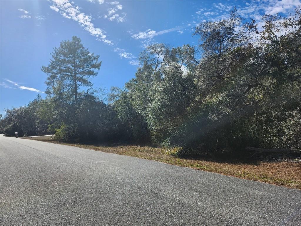TBD SW 29 Terrace Rd., Ocala, FL 34473