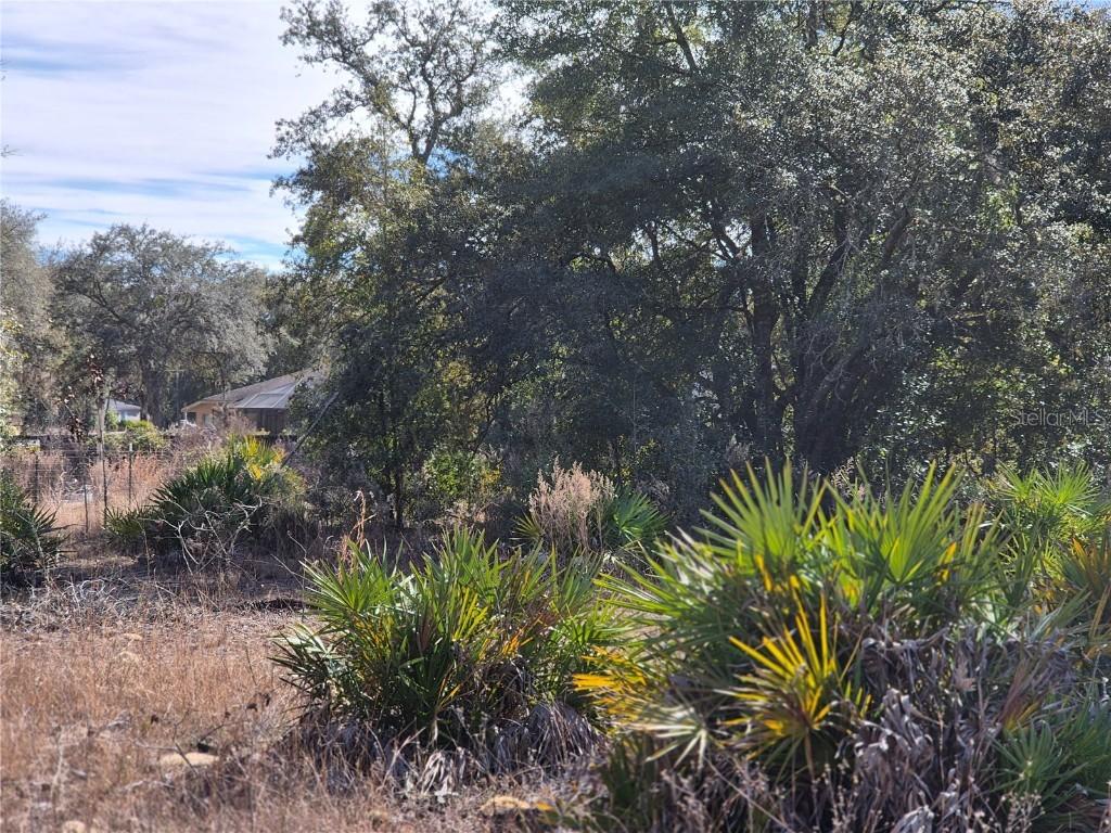 00 NE 78th Ln., Bronson, FL 32621