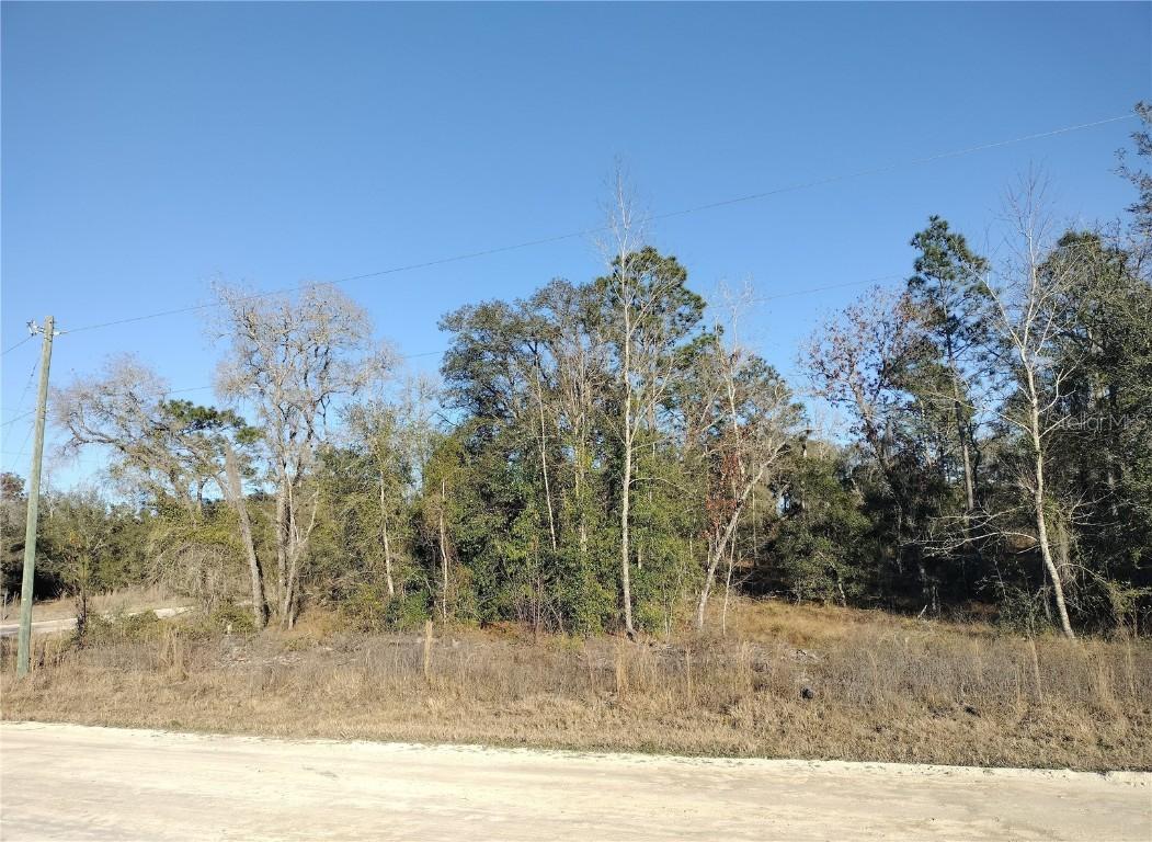 SE 136th Ave., Morriston, FL 32668