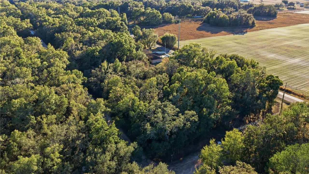 SW 139th Ct., Dunnellon, FL 34432