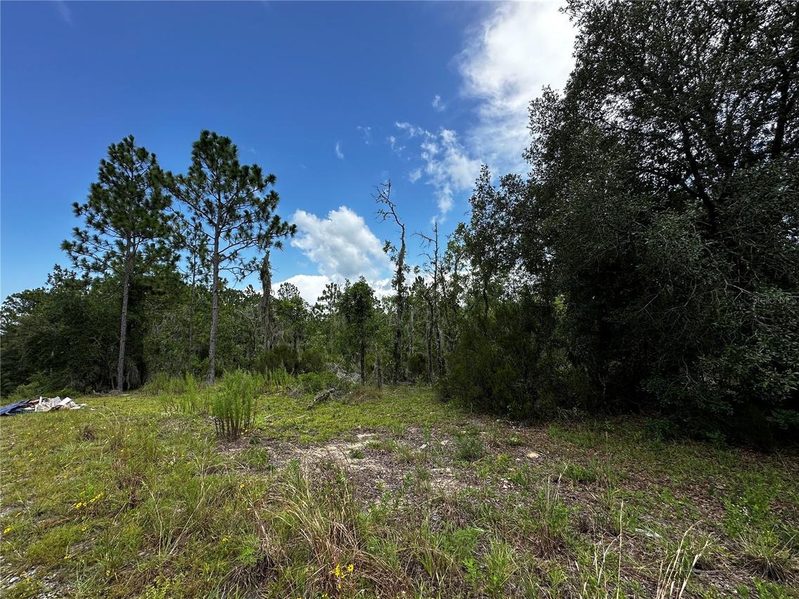 TBD NE 16th Ln., Williston, FL 32696