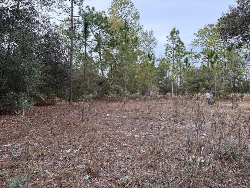 TBD SE Audubon Ave., Dunnellon, FL 34431