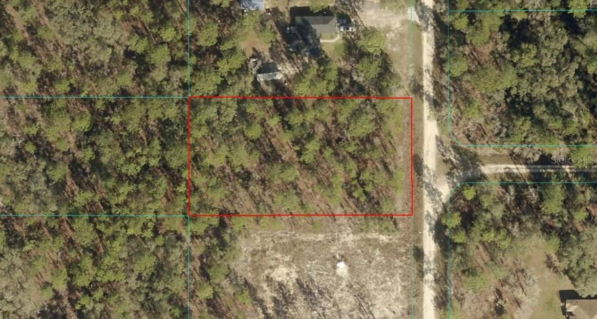TBD LOT 106 SW 134th Ave., Dunnellon, FL 34432