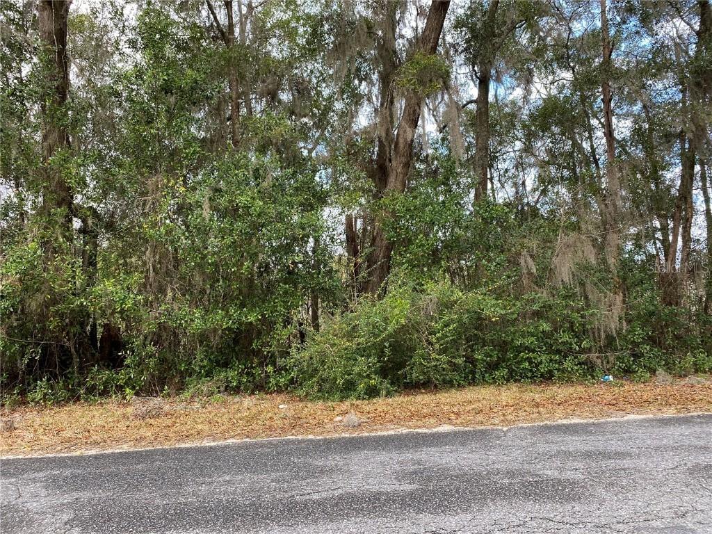 xxx NW 27th Ave., Citra, FL 32113