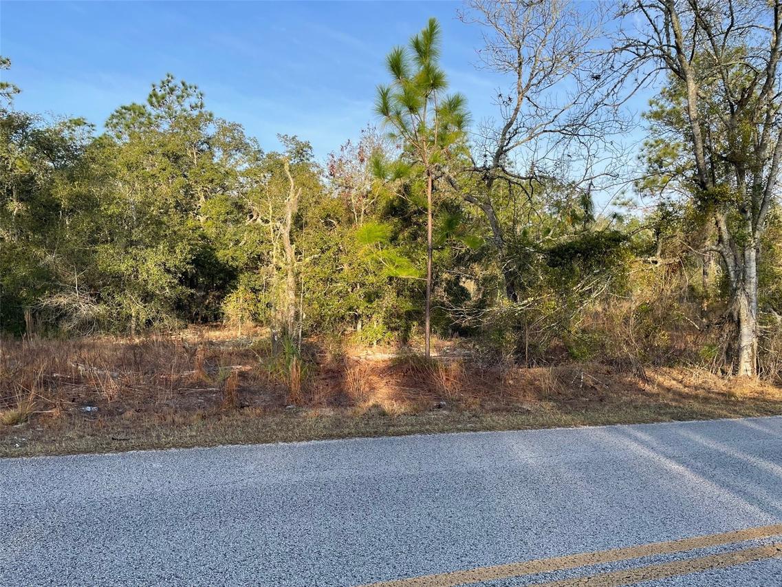 LOT 11 SW Half Moon Dr., Dunnellon, FL 34431