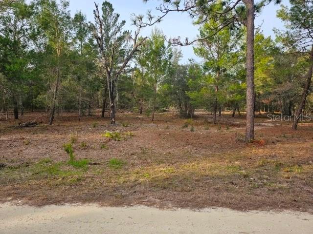 6341 W Stockholm Ln., Dunnellon, FL 34433
