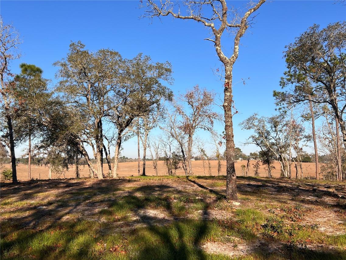 Lot 8 125th Ct., Dunnellon, FL 34431
