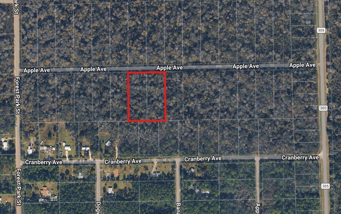3767 & 3739 Apple Ave., Bunnell, FL 32110