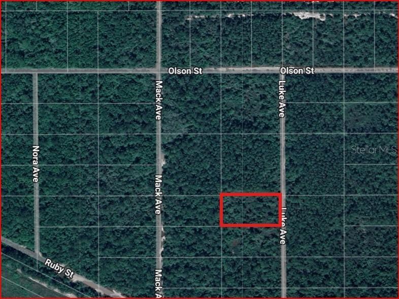 Lot 1069 Luke Ave., Hastings, FL 32145