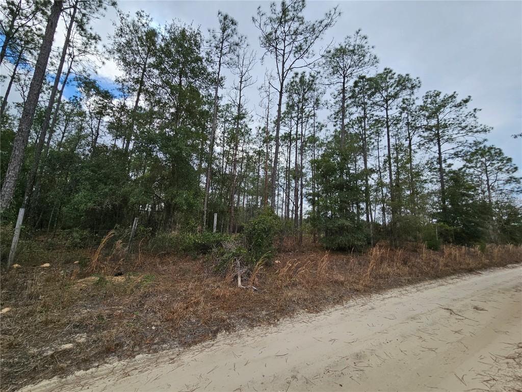 tbd NE 45th St., Williston, FL 32696