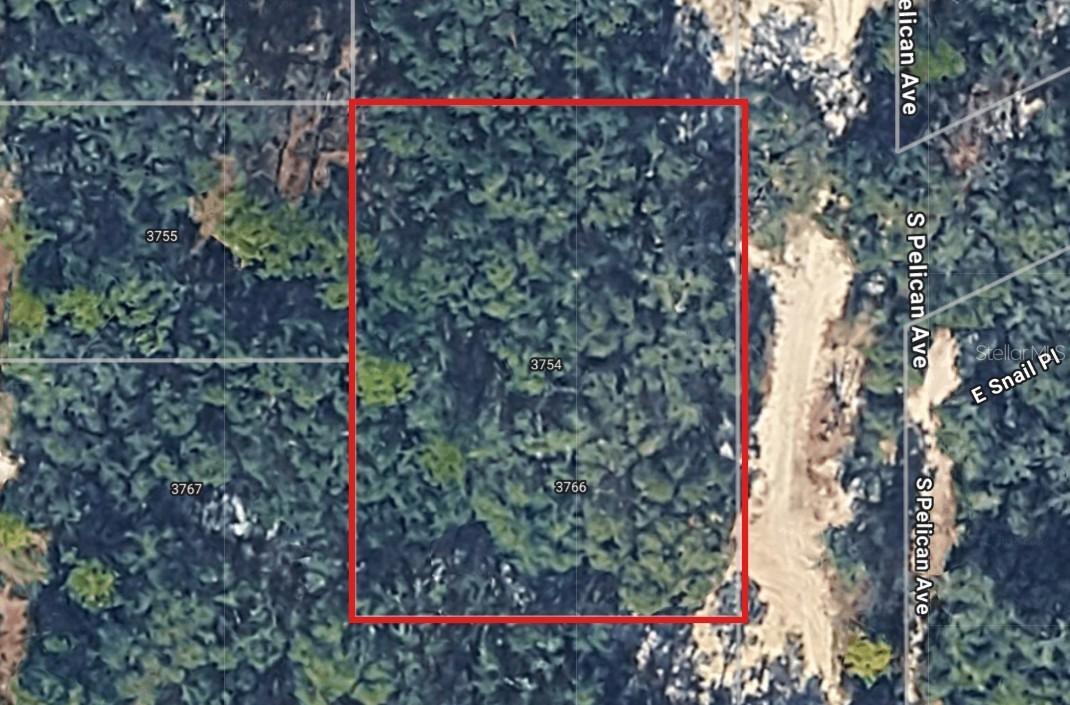 3754 S Pelican Ave., Inverness, FL 34450