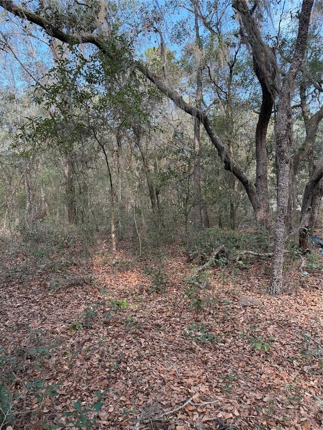 102 David Dr., Interlachen, FL 32148