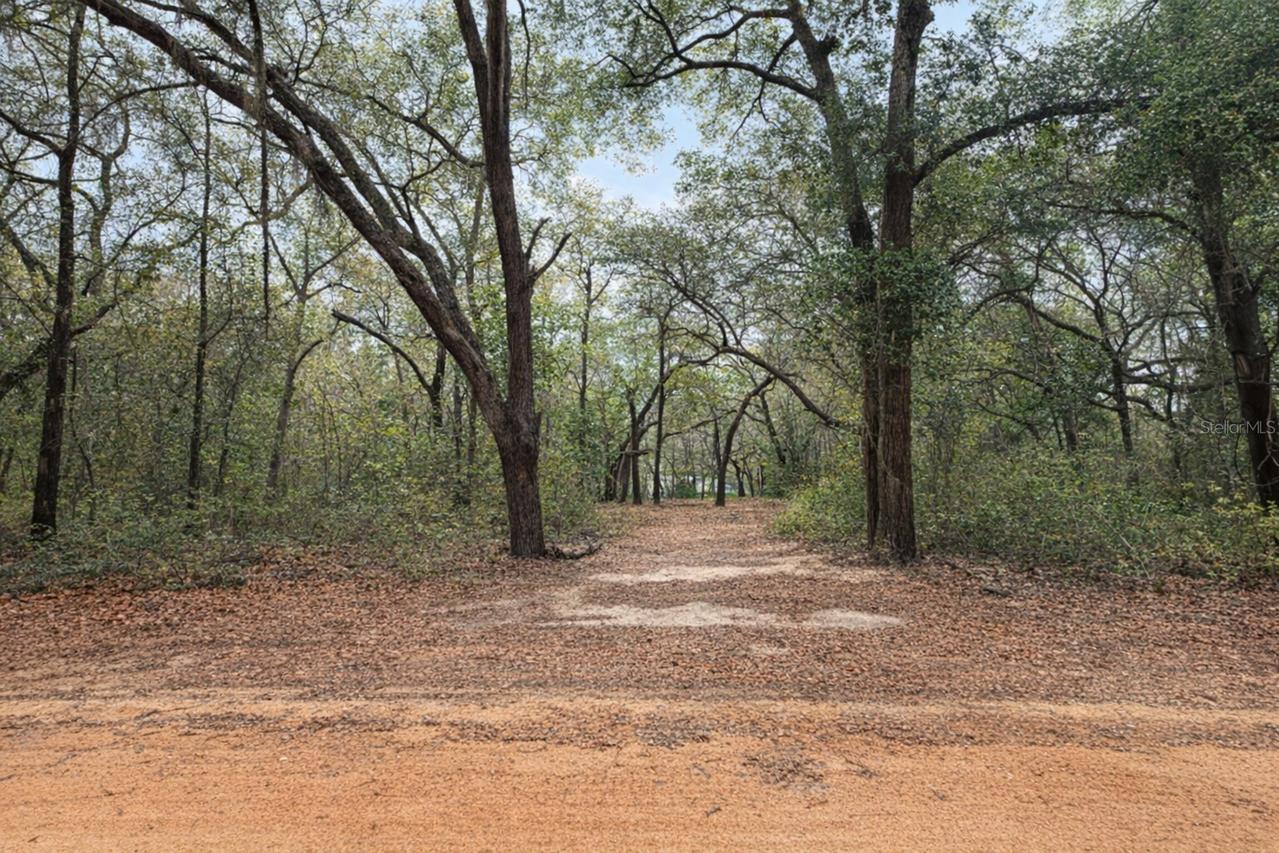 102 David Dr., Interlachen, FL 32148