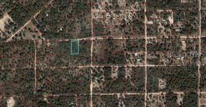 TBD NE 90th St., Bronson, FL 32621