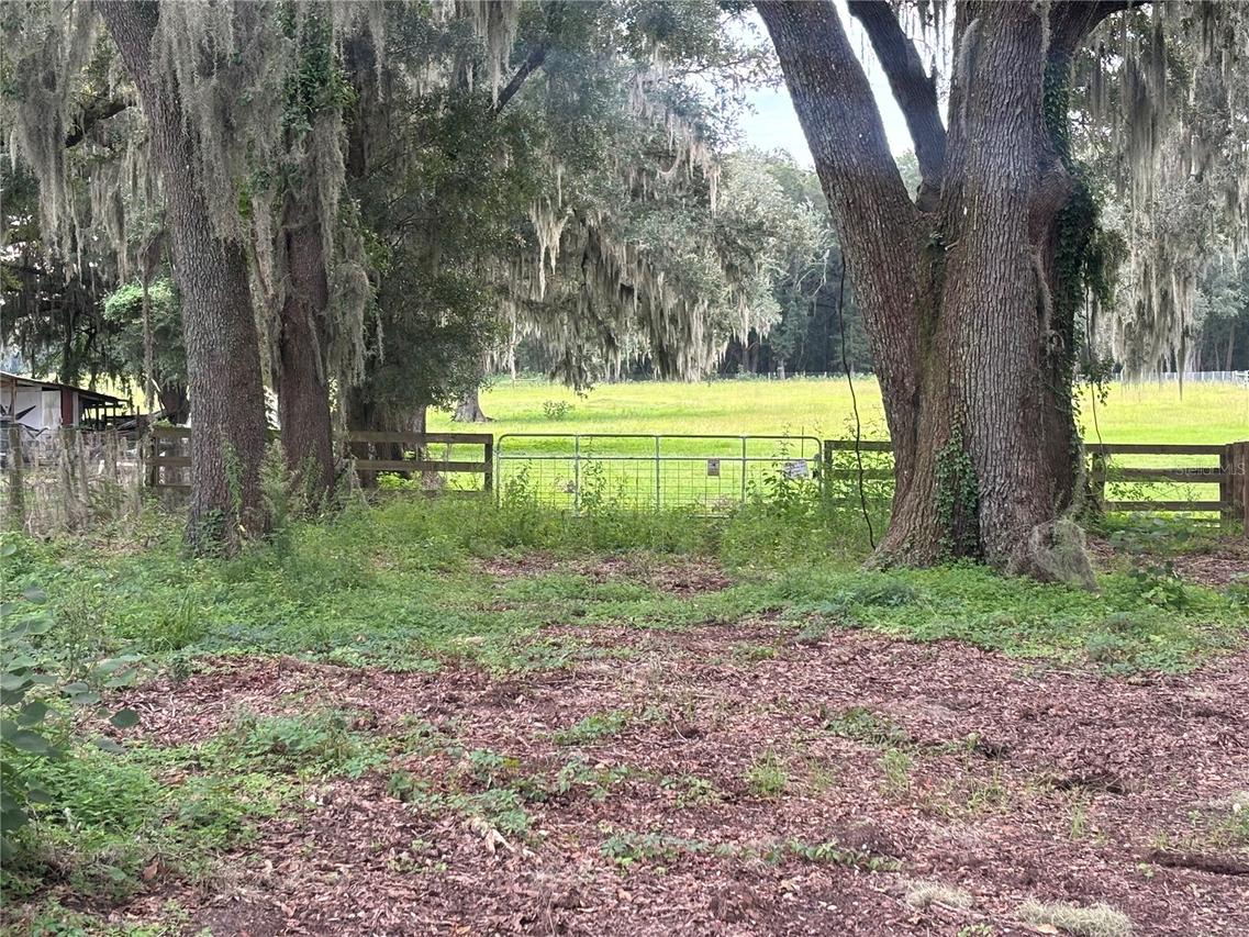 2051 SE 155th St., Summerfield, FL 34491