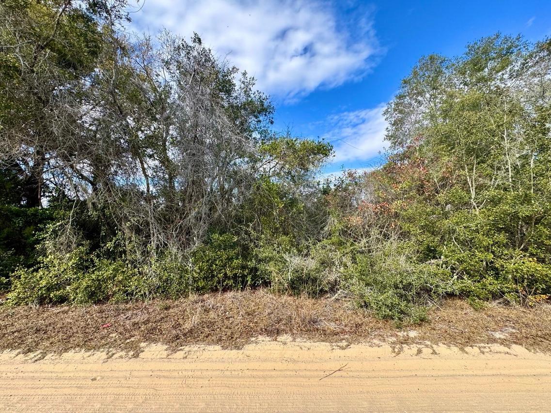 NE 235th St., Fort Mc Coy, FL 32134