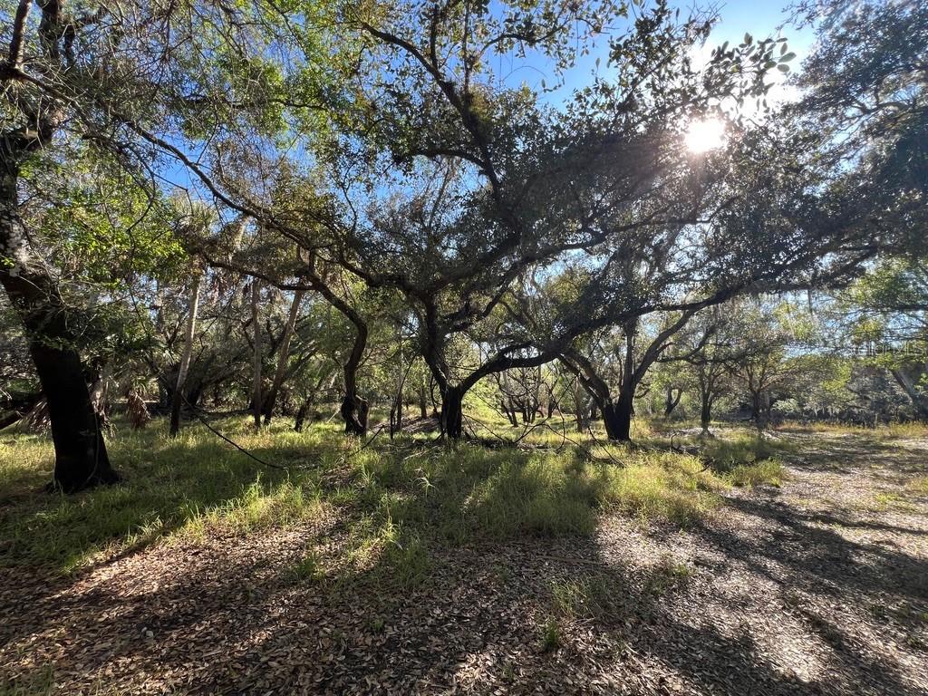 [Address Hidden by Seller], Arcadia, FL 34266