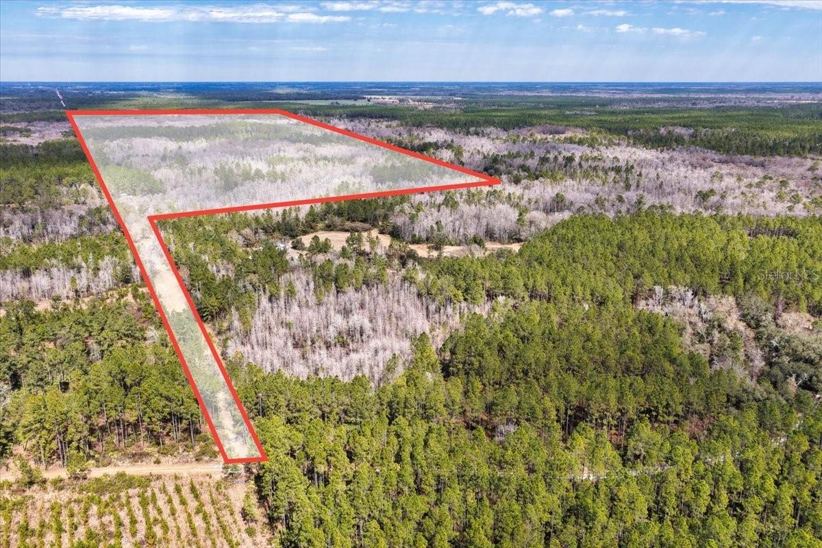 60 Acres NW Clyatt Road, Chiefland, FL 32626