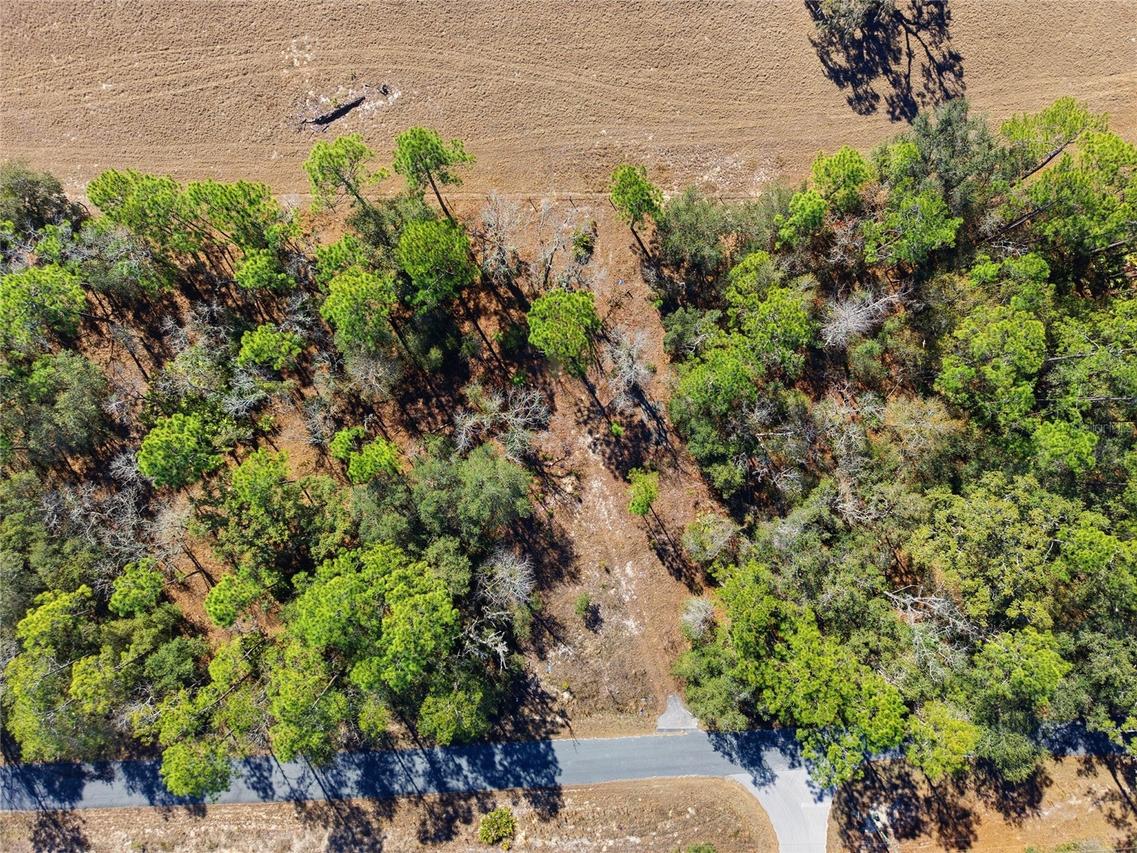 24456 SW Tiger Lake Blvd., Dunnellon, FL 34431