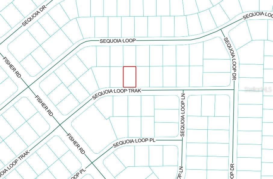 Sequoia Loop Track, Ocklawaha, FL 32179