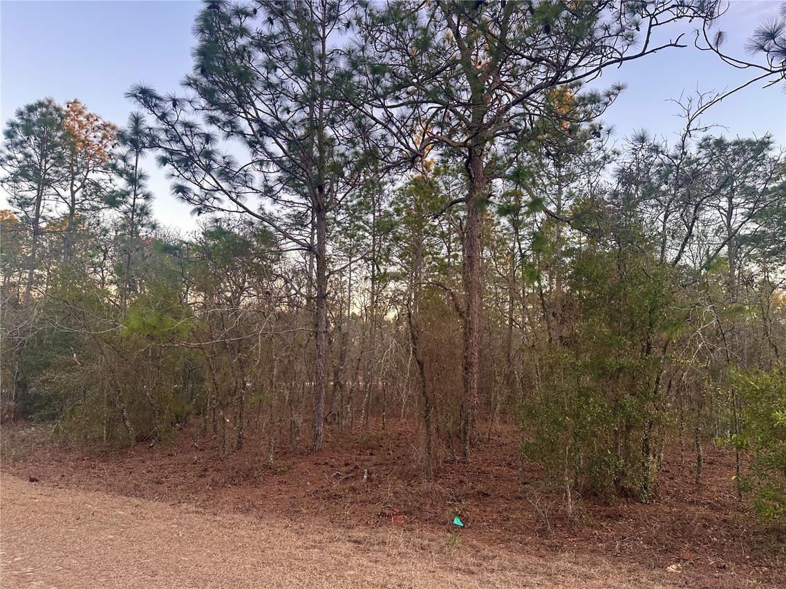 0000 SW 130th Terrace, Dunnellon, FL 34434