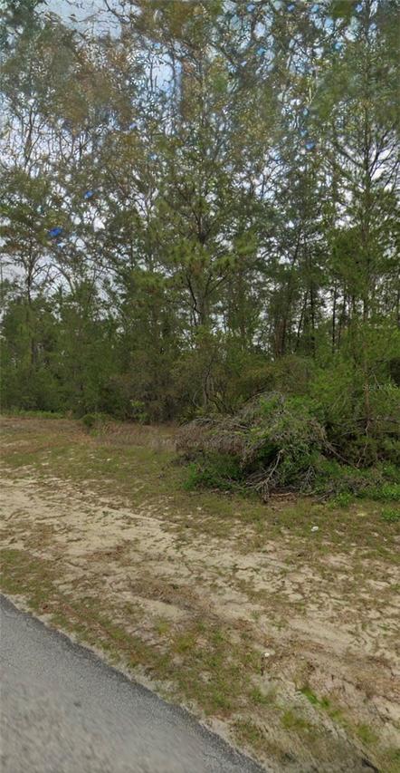 TBD Sw 44th Cir., Ocala, FL 34473